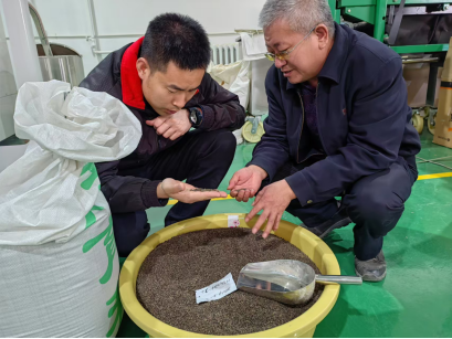 中央一號文件里的內(nèi)蒙古實踐種業(yè)振興篇相關(guān)圖片